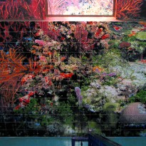 Unique Printed Floor Tiles